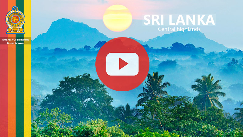 Visit Sri Lanka